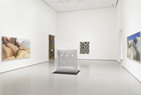 Robert Gober: The Heart Is Not a Metaphor. Oct 4, 2014–Jan 18, 2015.