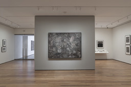 Jean Dubuffet: Soul of the Underground. Oct 18, 2014–Apr 5, 2015. 2 other works identified