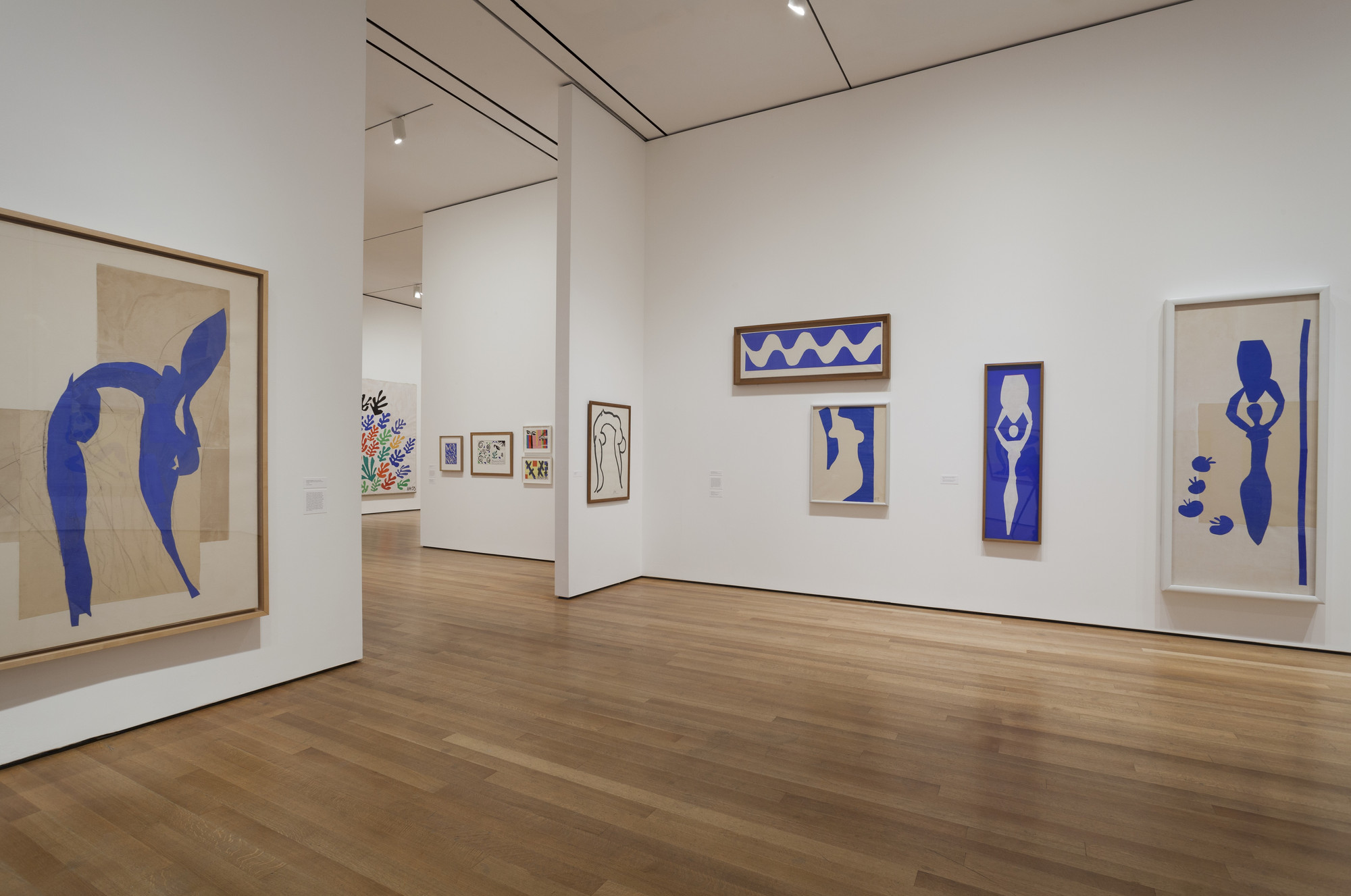 Installation view of the exhibition "Henri Matisse The CutOuts" MoMA