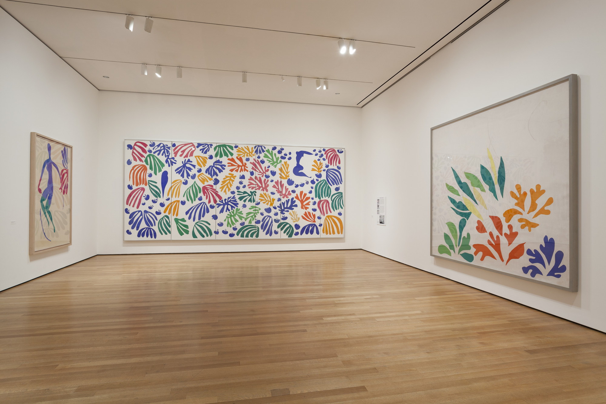 Installation view of the exhibition "Henri Matisse The CutOuts" MoMA