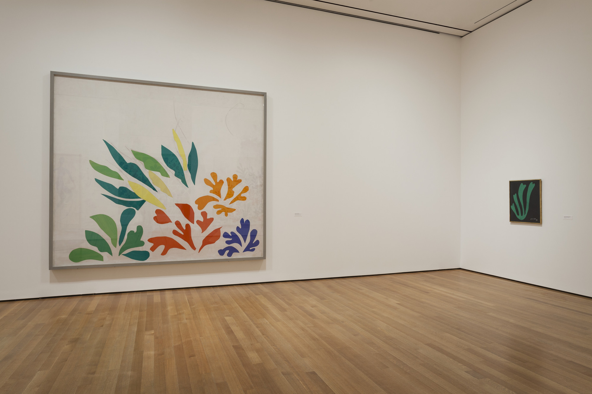 Installation view of the exhibition "Henri Matisse The CutOuts" MoMA