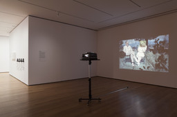 Installation photo, 10 of 27