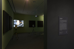 Installation photo, 20 of 27