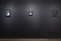 Sturtevant: Double Trouble. Nov 9, 2014–Feb 22, 2015.