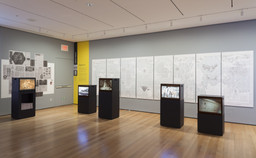 Installation photo, 10 of 23