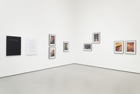 Scenes for a New Heritage: Contemporary Art from the Collection. Mar 8, 2015–Apr 11, 2016. 8 other works identified