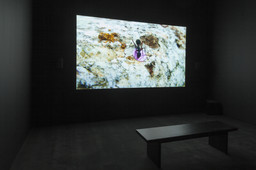 Installation photo, 26 of 65