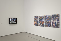 Scenes for a New Heritage: Contemporary Art from the Collection. Mar 8, 2015–Apr 11, 2016. 7 other works identified