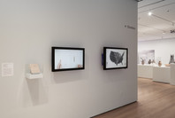 This Is for Everyone: Design Experiments for the Common Good. Feb 14, 2015–Jan 18, 2016. 1 other work identified