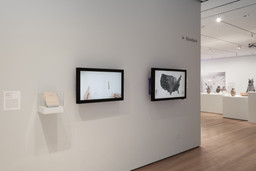 Installation photo, 19 of 37