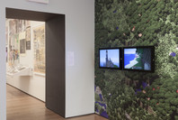 This Is for Everyone: Design Experiments for the Common Good. Feb 14, 2015–Jan 18, 2016.