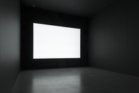 Scenes for a New Heritage: Contemporary Art from the Collection. Mar 8, 2015–Apr 11, 2016.