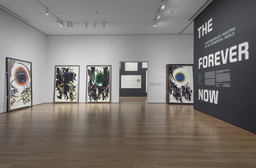 Installation photo, 1 of 46