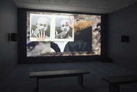 Scenes for a New Heritage: Contemporary Art from the Collection. Mar 8, 2015–Apr 11, 2016.