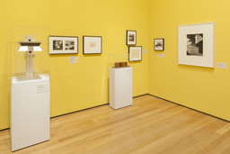 Installation photo, 66 of 87