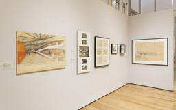 Installation photo, 48 of 87