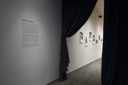 Installation photo, 39 of 54