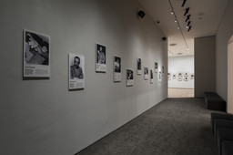 Installation photo, 40 of 54