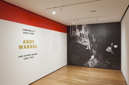 Installation photo, 1 of 38