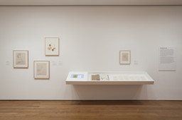 Installation photo, 3 of 38