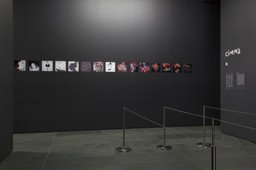 Installation photo, 46 of 61