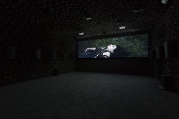 Installation photo, 53 of 61