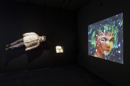 Installation photo, 17 of 61