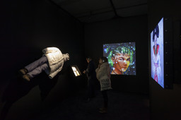 Installation photo, 19 of 61