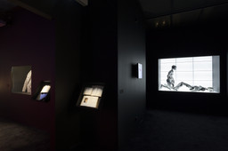 Installation photo, 20 of 61