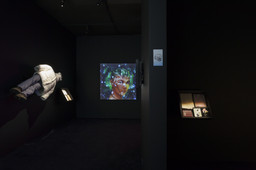 Björk | MoMA