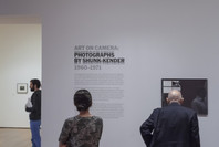Art on Camera: Photographs by Shunk-Kender, 1960–1971. May 17–Oct 4, 2015.