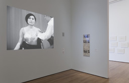 Installation photo, 24 of 93