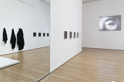 Installation photo, 27 of 93