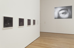 Installation photo, 29 of 93