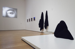 Installation photo, 32 of 93