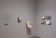 Art on Camera: Photographs by Shunk-Kender, 1960–1971. May 17–Oct 4, 2015. 5 other works identified