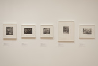 From Bauhaus to Buenos Aires: Grete Stern and Horacio Coppola. May 17–Oct 4, 2015.