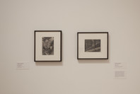 From Bauhaus to Buenos Aires: Grete Stern and Horacio Coppola. May 17–Oct 4, 2015.