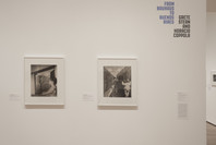 From Bauhaus to Buenos Aires: Grete Stern and Horacio Coppola. May 17–Oct 4, 2015.