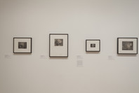 From Bauhaus to Buenos Aires: Grete Stern and Horacio Coppola. May 17–Oct 4, 2015. 1 other work identified