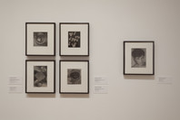 From Bauhaus to Buenos Aires: Grete Stern and Horacio Coppola. May 17–Oct 4, 2015.