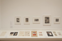 From Bauhaus to Buenos Aires: Grete Stern and Horacio Coppola. May 17–Oct 4, 2015.