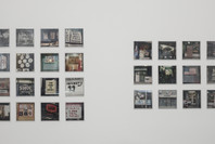 Zoe Leonard: Analogue. Jun 27–Aug 30, 2015. 1 other work identified