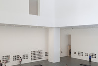 Zoe Leonard: Analogue. Jun 27–Aug 30, 2015.