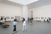 Zoe Leonard: Analogue. Jun 27–Aug 30, 2015. 1 other work identified