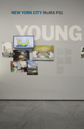 Installation photo, 6 of 28