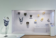 This Is for Everyone: Design Experiments for the Common Good. Feb 14, 2015–Jan 18, 2016. 13 other works identified