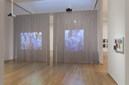Installation photo, 35 of 77