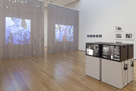 Transmissions: Art in Eastern Europe and Latin America, 1960–1980. Sep 5, 2015–Jan 3, 2016. 6 other works identified