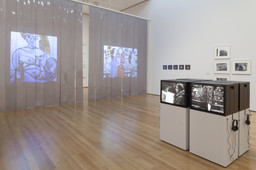 Installation photo, 48 of 77